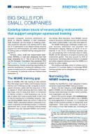 Briefing note – Big skills for small companies