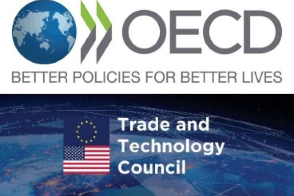 OECD-TTC